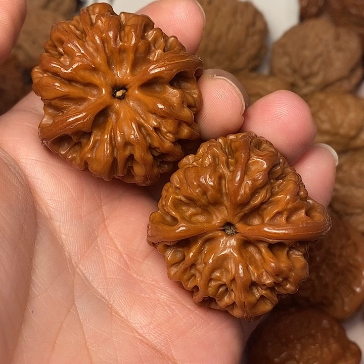 箱***子文玩核桃把件野牛40