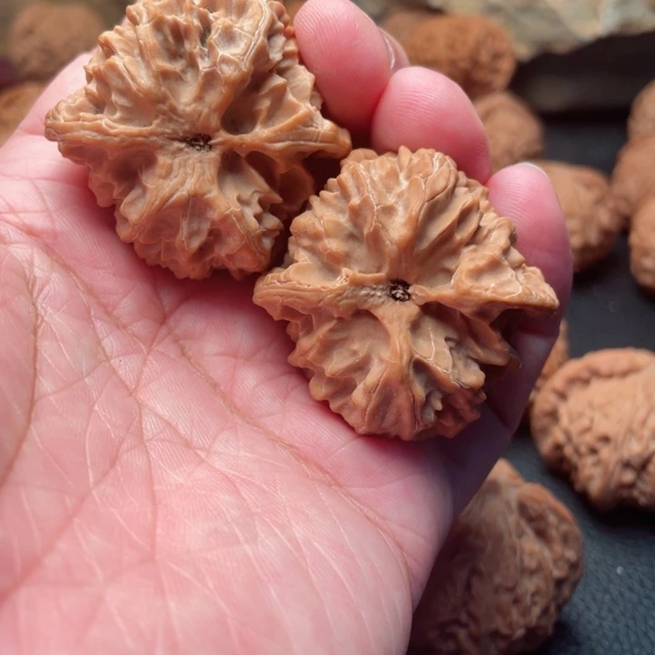 文玩核桃把件生41全品苹果园