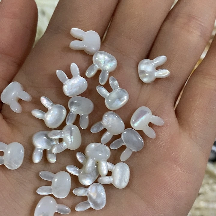 2个白蝶贝横孔兔子