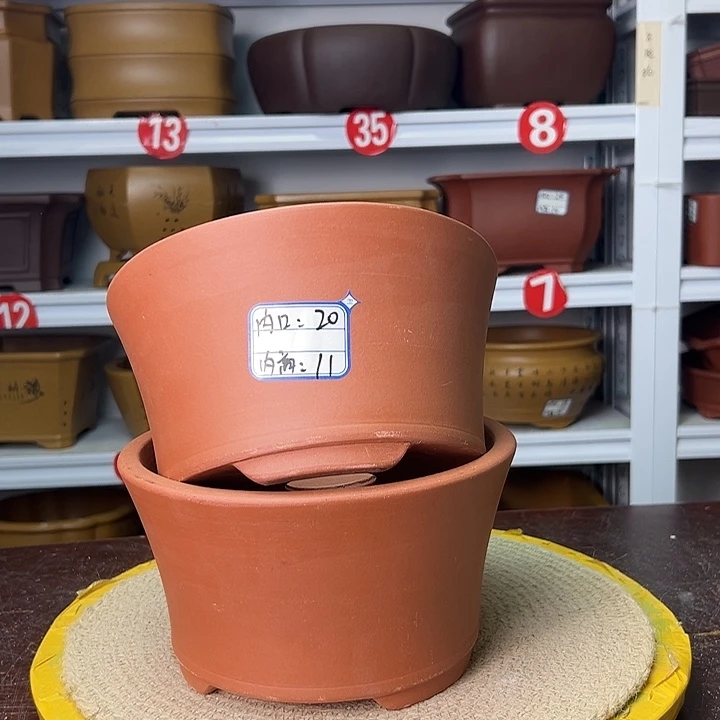 花盆紫砂蛇年大吉