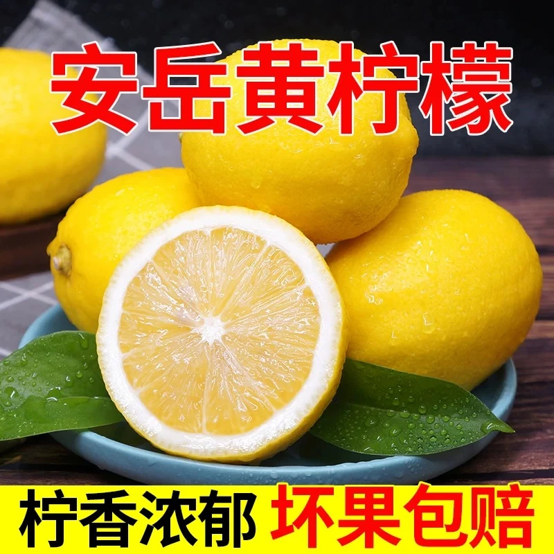 四川安岳黄柠檬新鲜水果3/5/9斤奶茶店皮薄多汁大果非香水青柠檬