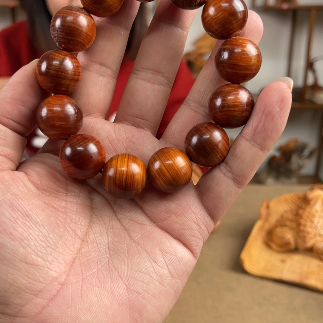 柏木（崖柏）太行山脉中段