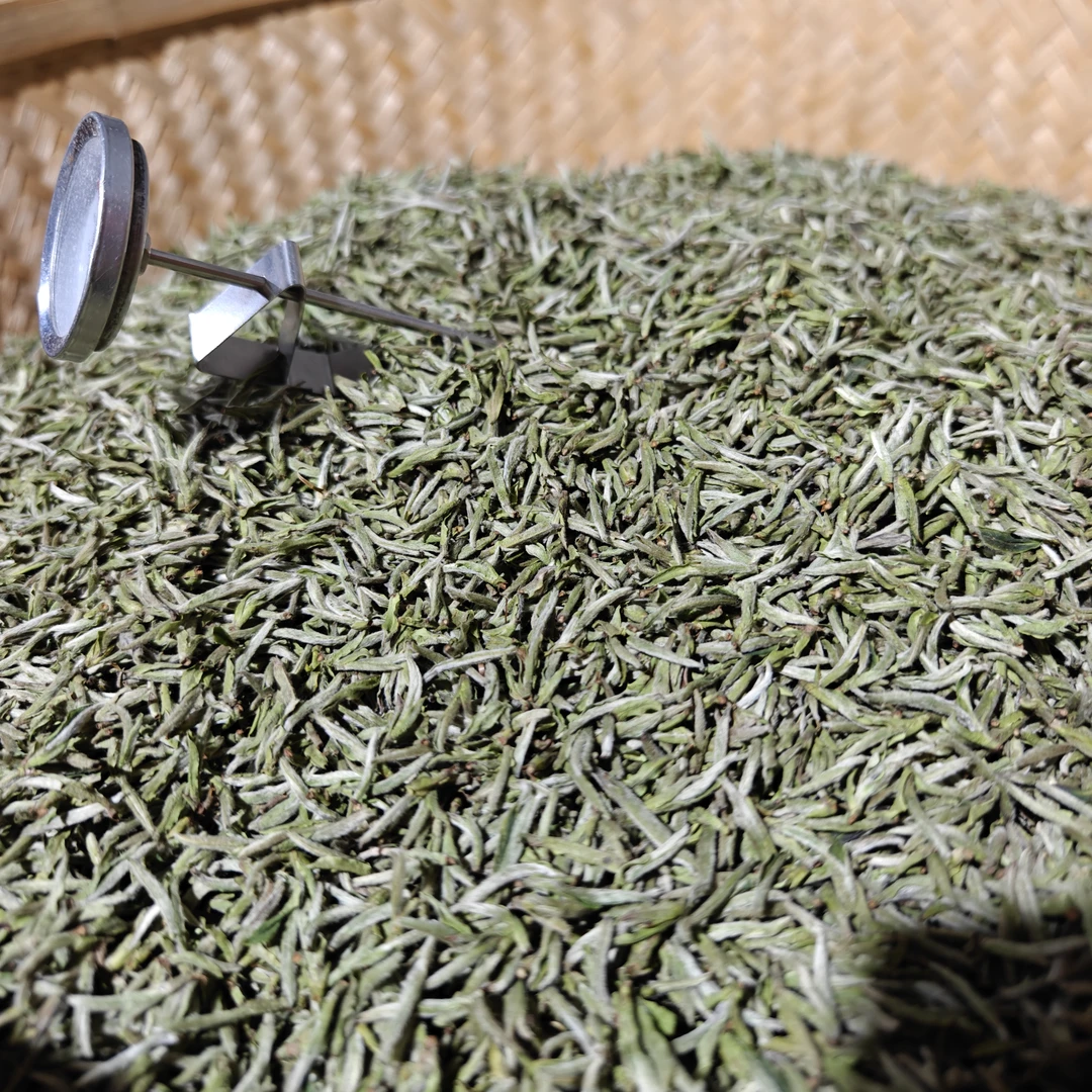 2025年政和白茶.高山区头采米针.传统炭焙含水率低青味少香气高25