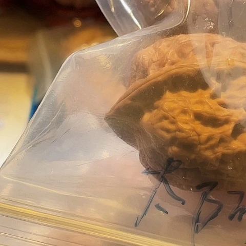 阿***阿文玩核桃把件七彩雷龙带彩41