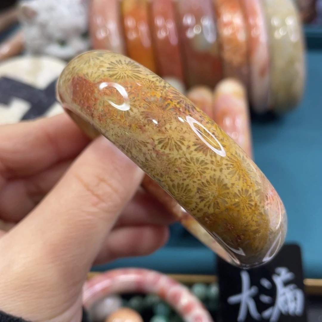 未镶嵌手镯硅化玉