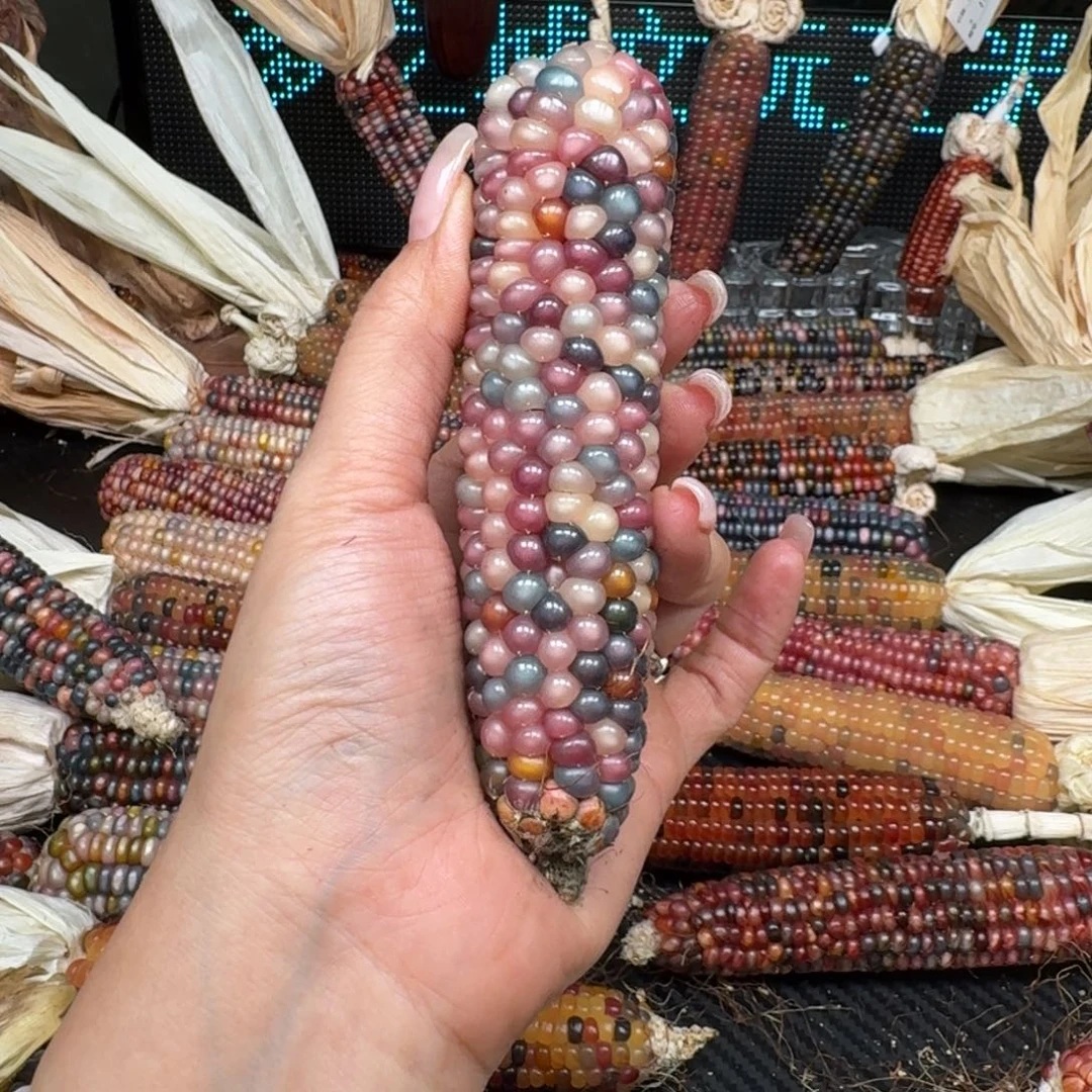 柏香籽/百香籽吊坠煦*