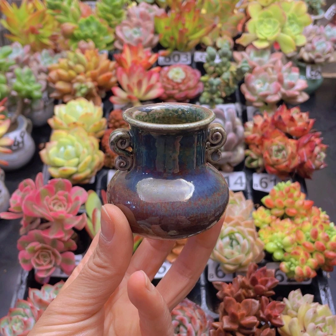 小**学花器花器花器花器花器