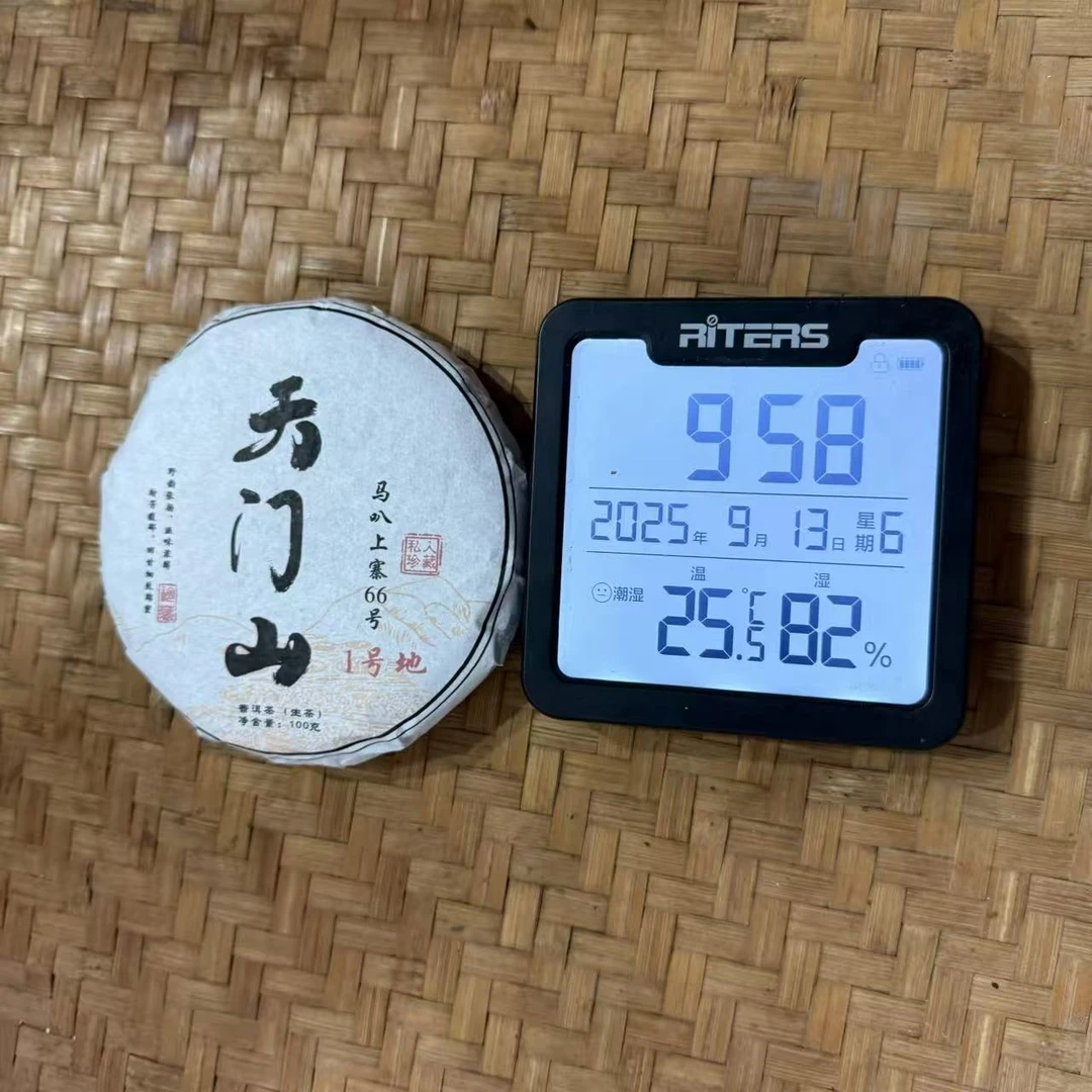 2025年马叭上寨天门山普洱生茶饼100克MC5号9月13日