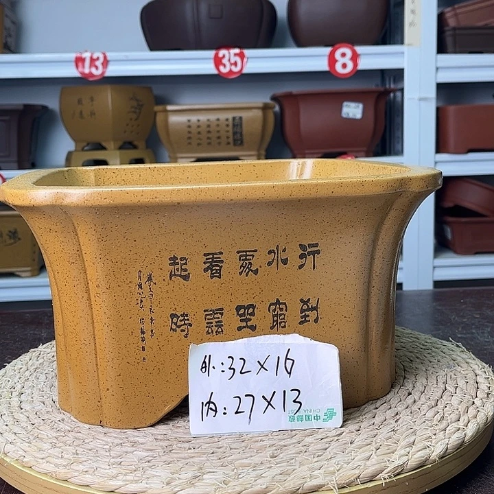 花盆紫砂你在一起