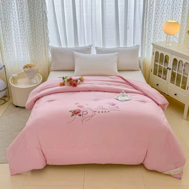 A类加厚蚕丝被被芯加厚保暖家用冬天棉被春秋被单双人宿舍被子