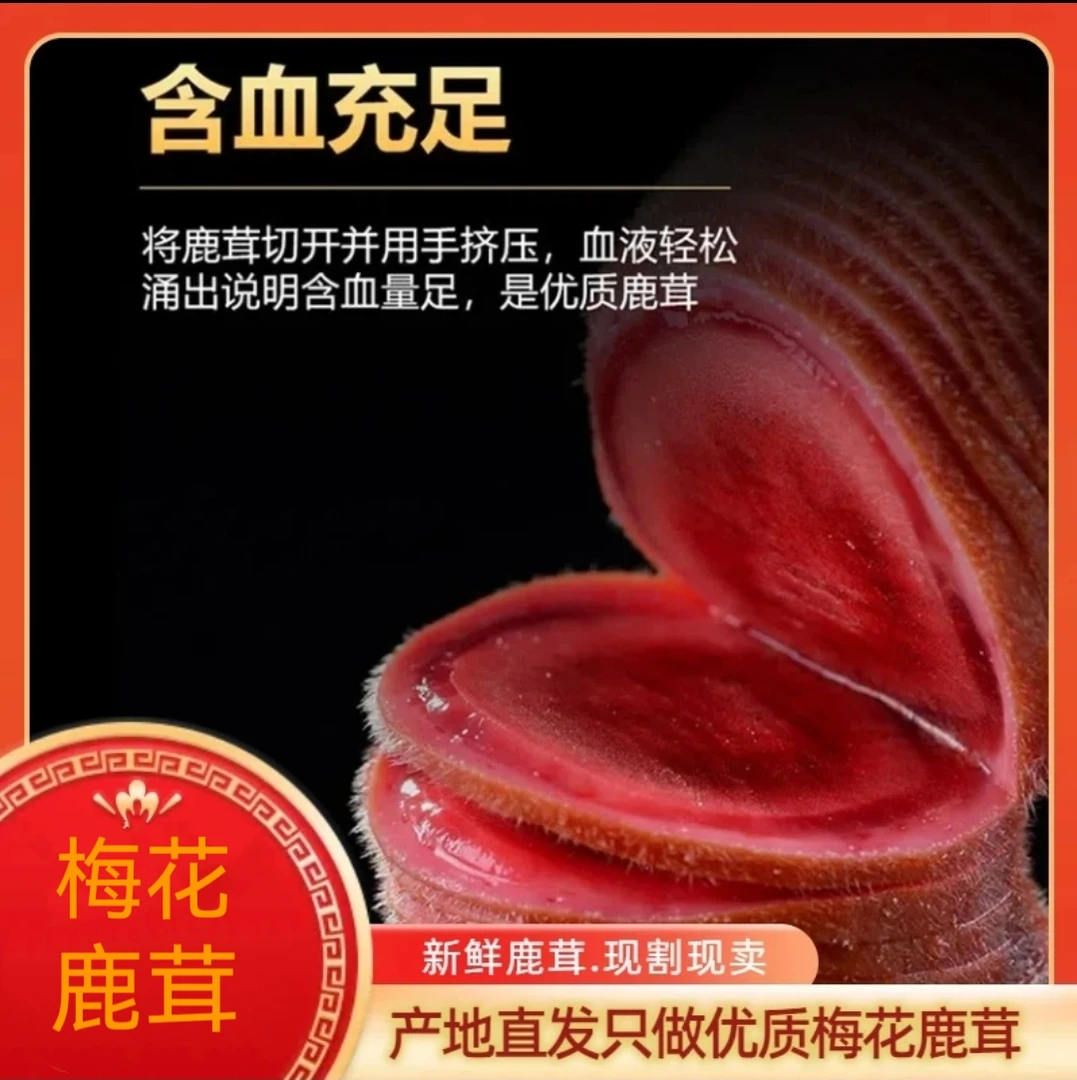 东北原产地新鲜【鹿茸红】含血充足可煲汤泡酒养生必备