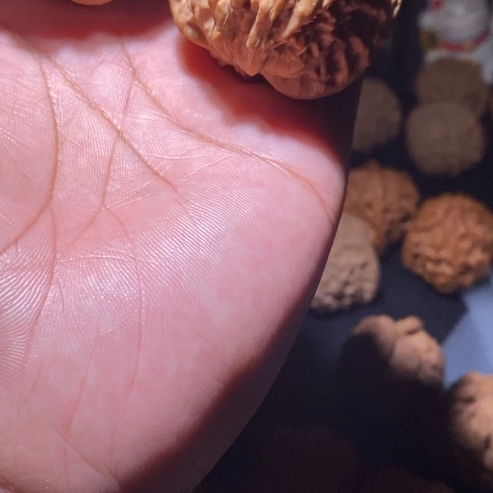 把件文玩核桃老**坏虎头