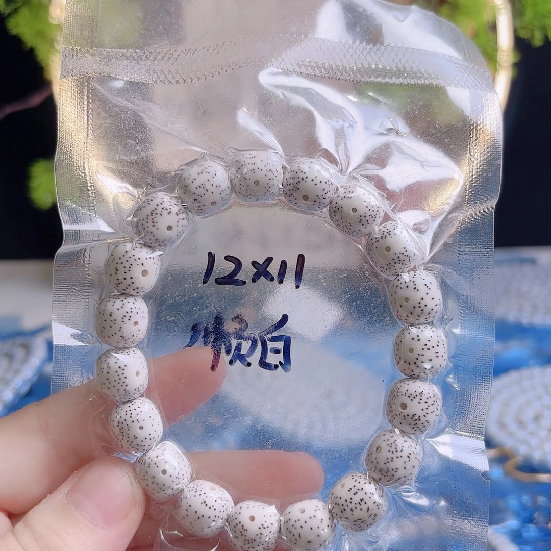 吊坠菩提根/象牙果