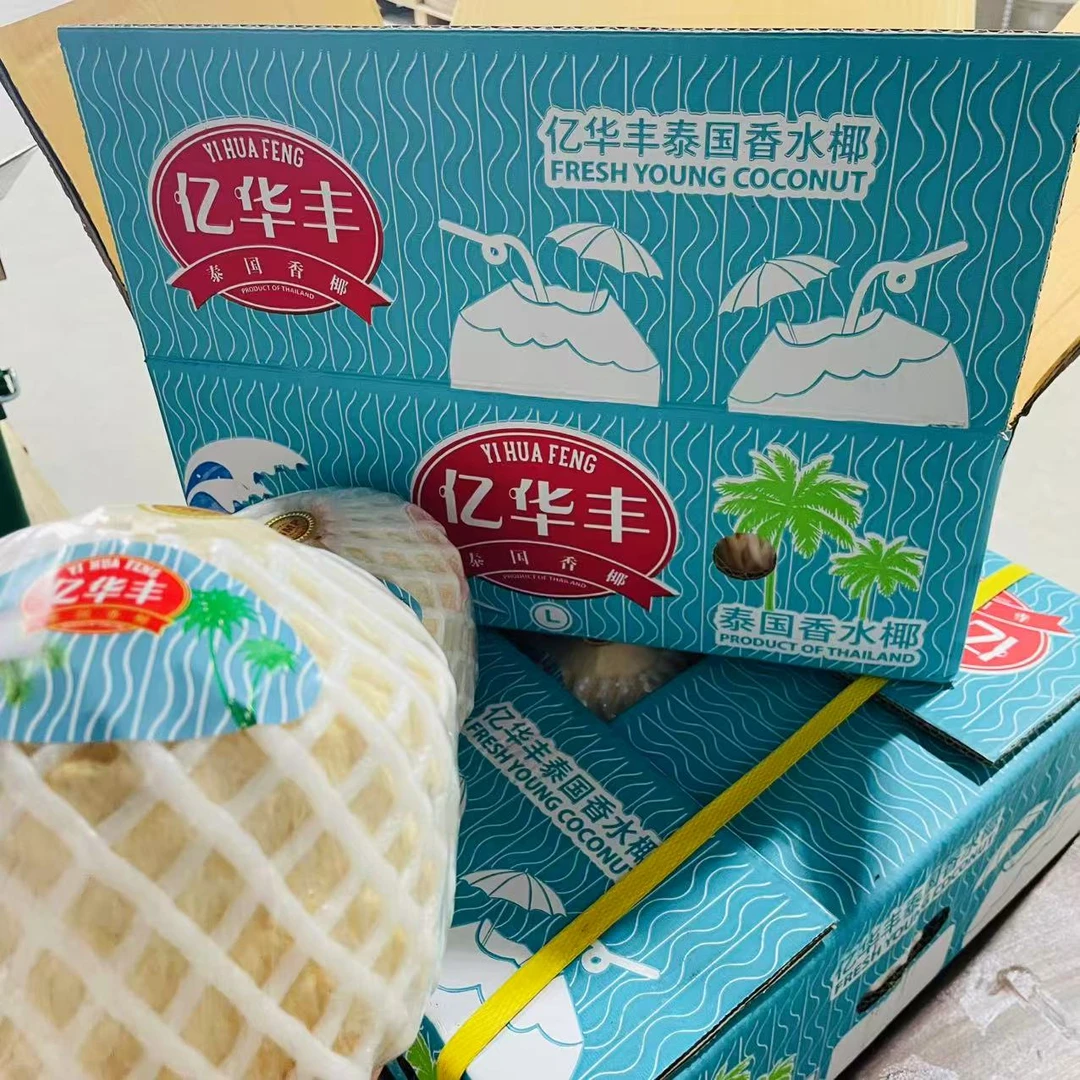 泰国香水椰青  清爽甘甜  5颗装  冷藏口感更佳哦~【只发河南省】