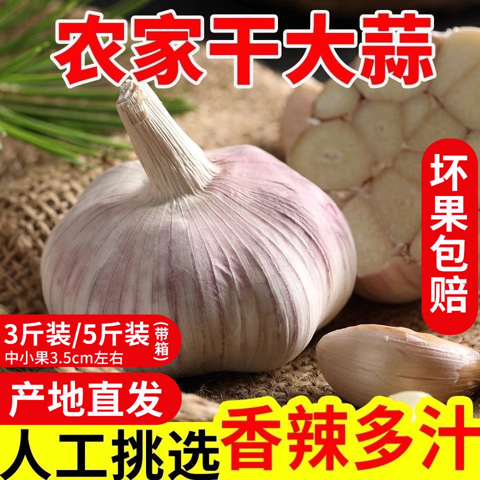 2025新干大蒜 大蒜原产地直发农家干蒜紫皮大蒜 3斤5斤