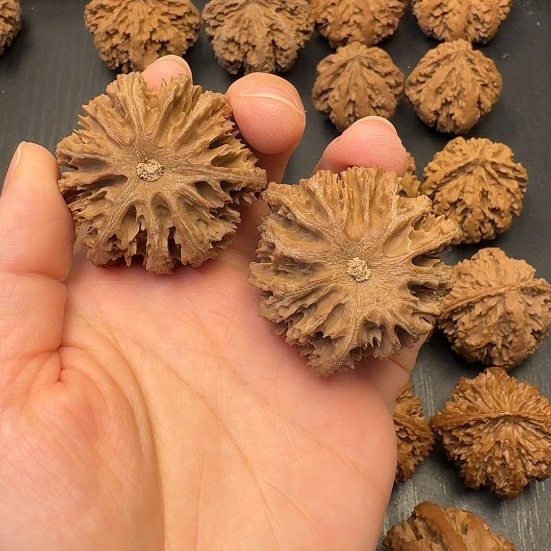 张***啵核桃秦岭山下了雪之后还