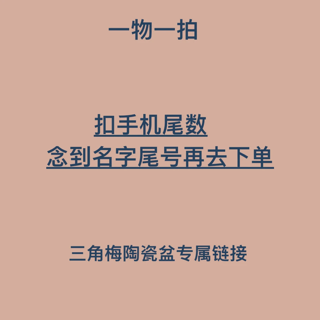 【精品陶瓷盆】三角梅品种苗盆栽勤花品种植物【一物一拍】