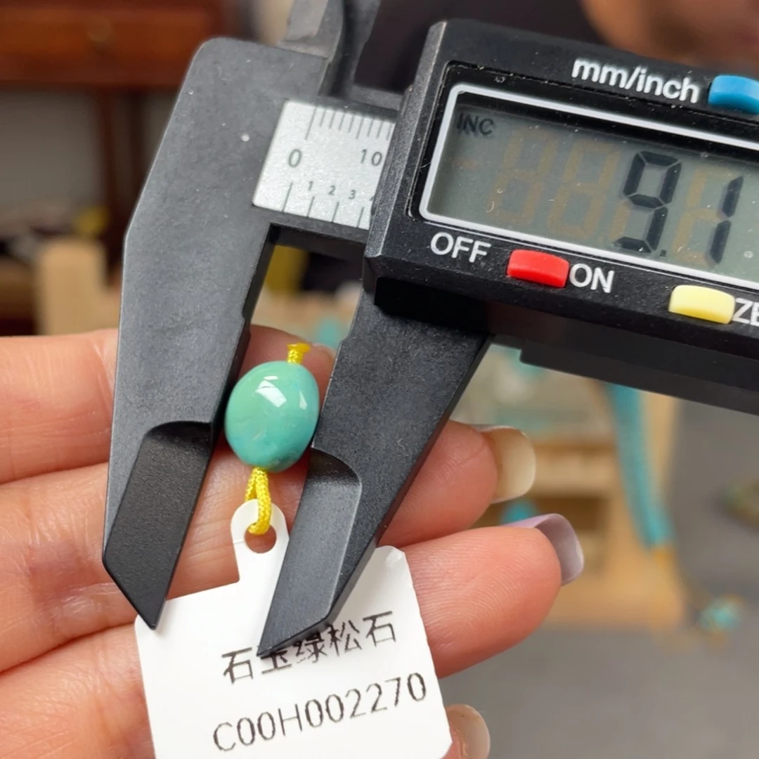 绿松石未镶嵌颈饰