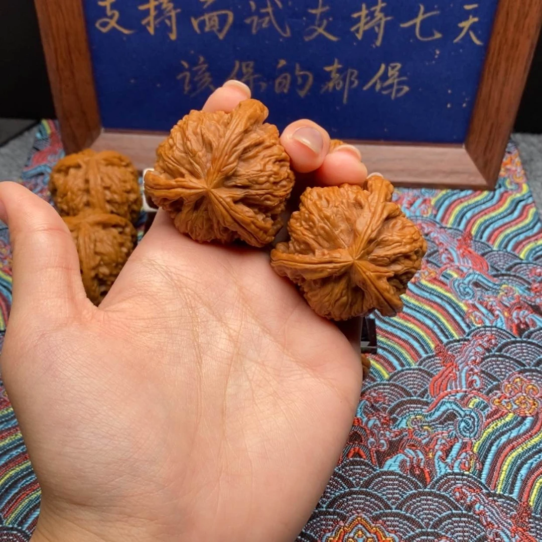 【闪购商品】鸿**头白狮