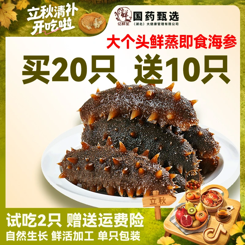 【大个头海参】鲜食即食海参辽刺参高品质买20送10只