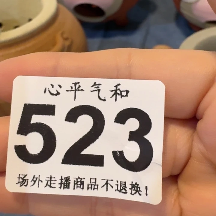 摆件?****d辣牛肉和辣全鸡111111