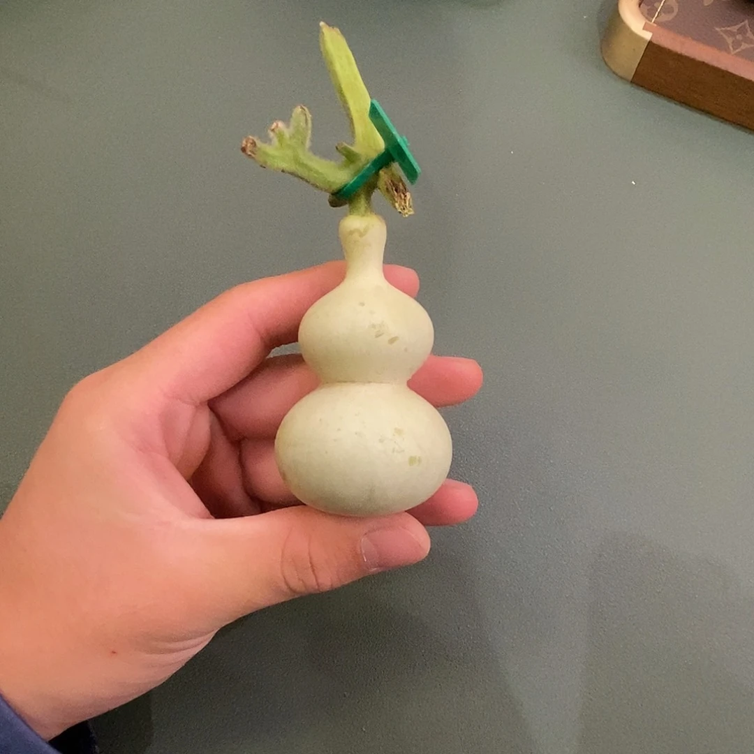 香*拉舍的出品精选天然葫芦