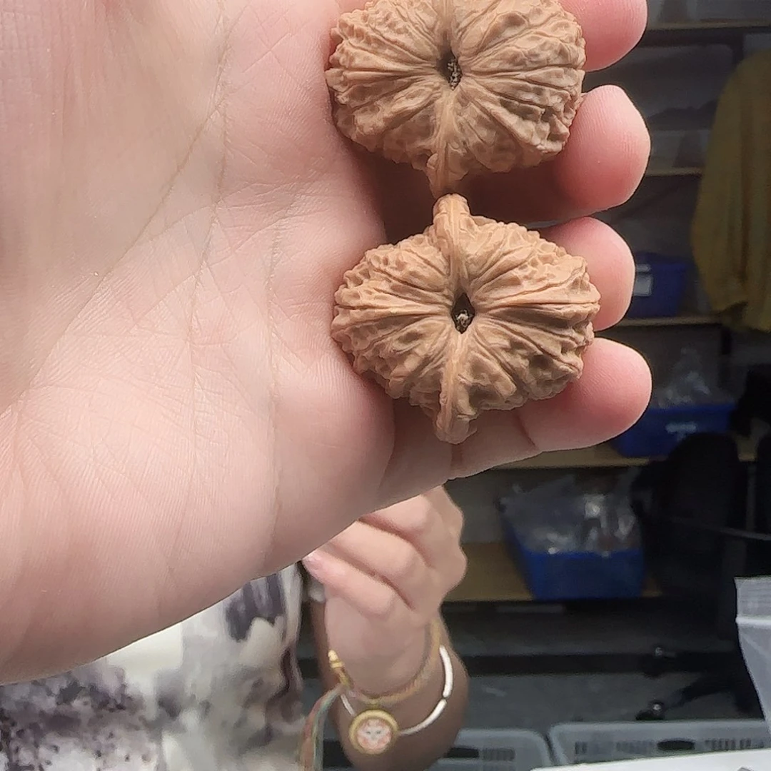 文玩核桃把件36血麒麟