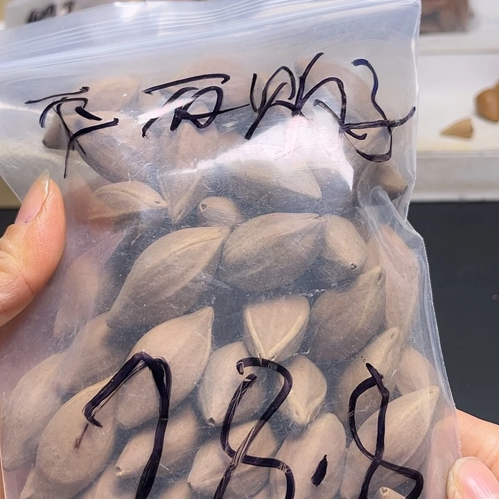 玉***子手串/手链橄榄核1111