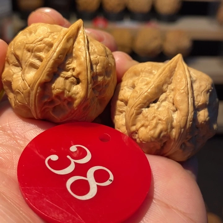 木质类天然生命元35尺寸