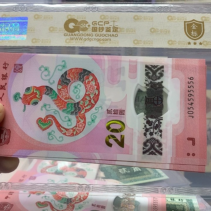 054595556、054595556