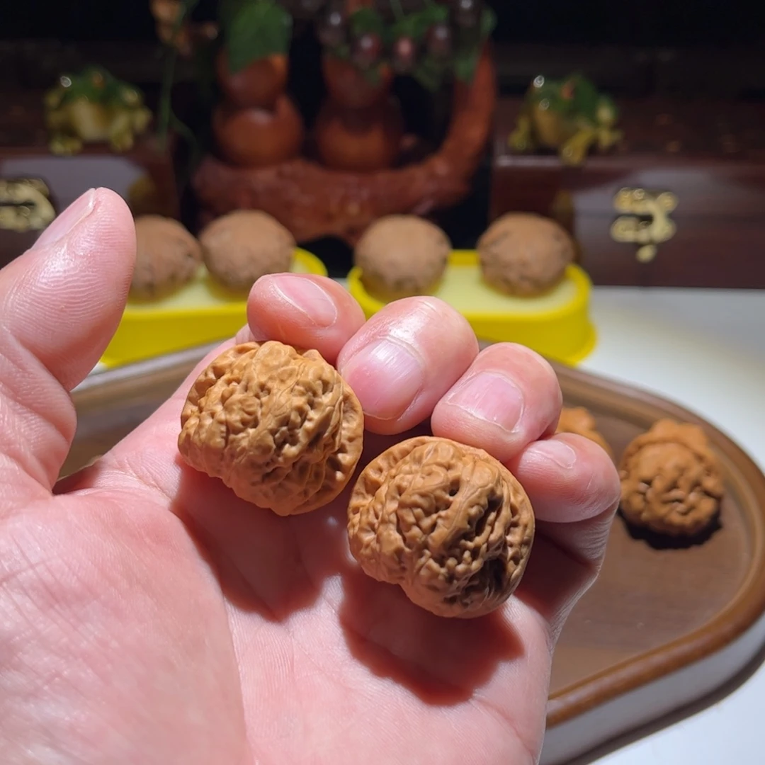 桃核把件昌平娃直播中欢迎观看