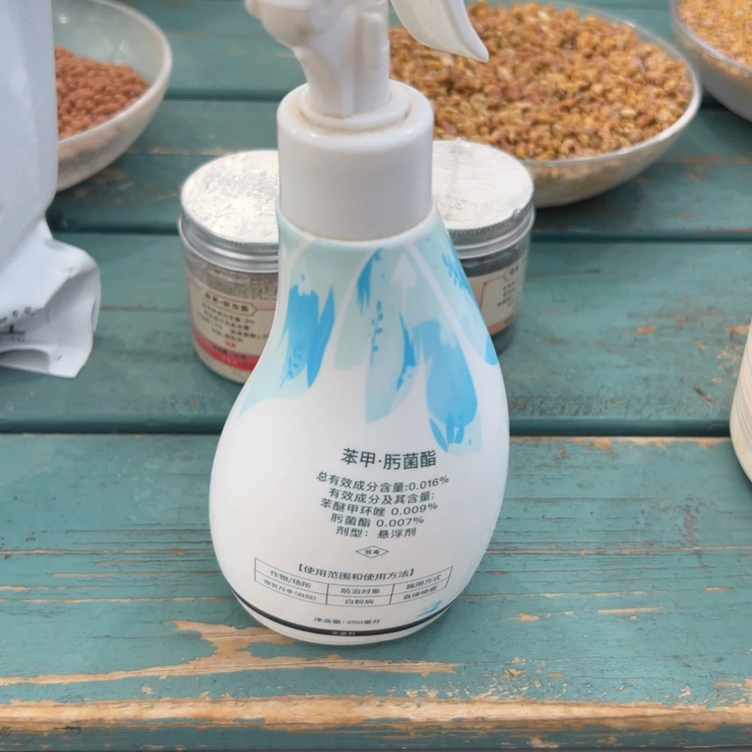 多肉精选编号0117.养护一号