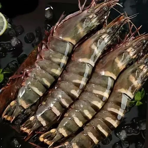 【鲜活竹节虾】 昆明小时到家 打氧配送过程中会出现个别缺氧死亡  介意慎拍  可加工熟食