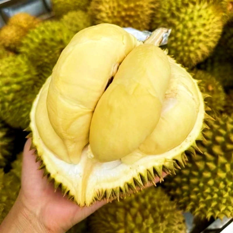 【美时鲜-特惠福利】现剥纯果肉 金枕榴莲 新鲜1-10斤核小金枕越南泰国