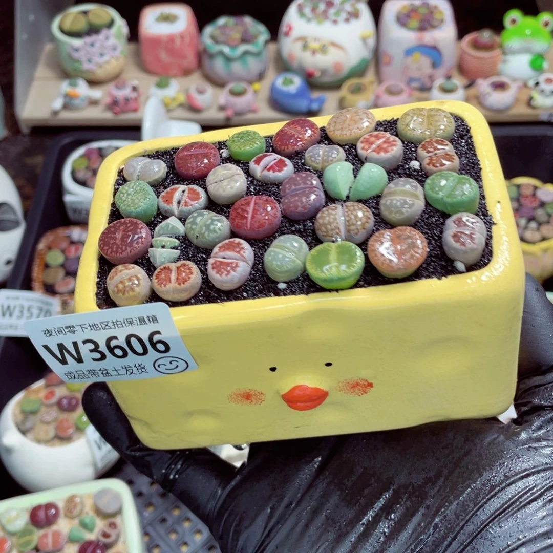 夜间零下地区拍保温箱w3606