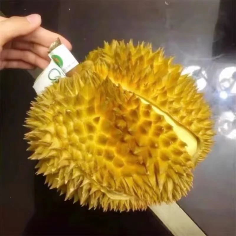 【发乌市及周边】1公斤-1.2公斤泰国金枕巴掌榴莲皮薄肉厚干包黄肉