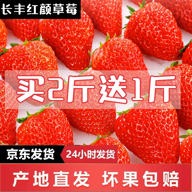 长丰草莓【买2斤送1斤】长丰奶油草莓头茬果真空产地直发新鲜包赔