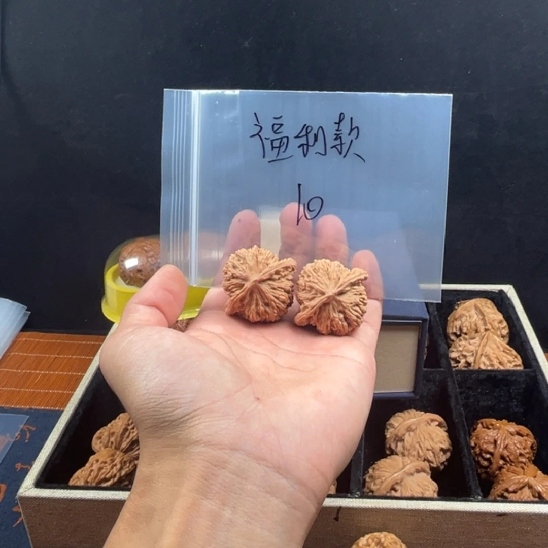 核桃哈哈哈哈哈哈哈哈哈