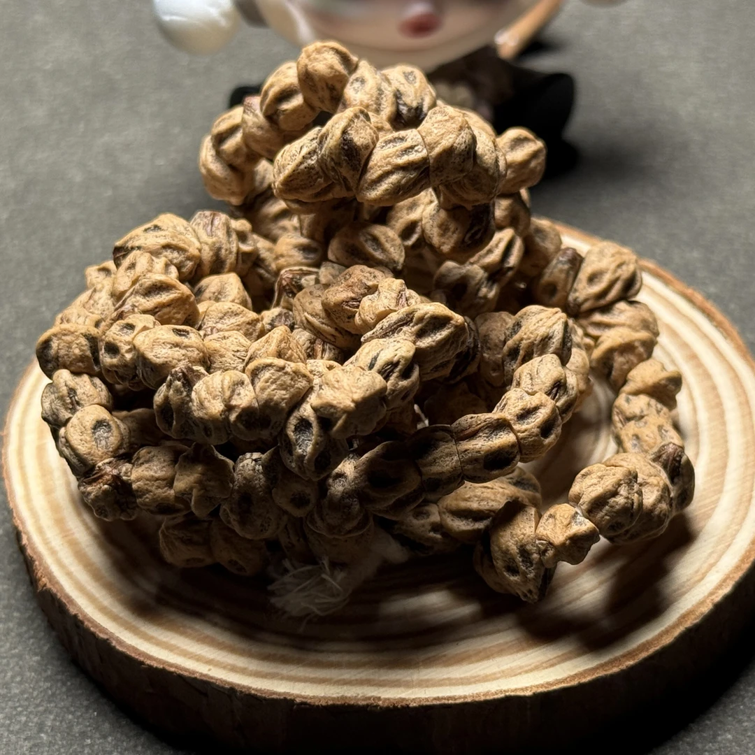 响尾大肠柏香籽特色款式