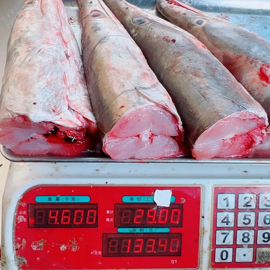 中国大陆四个鳗鱼头