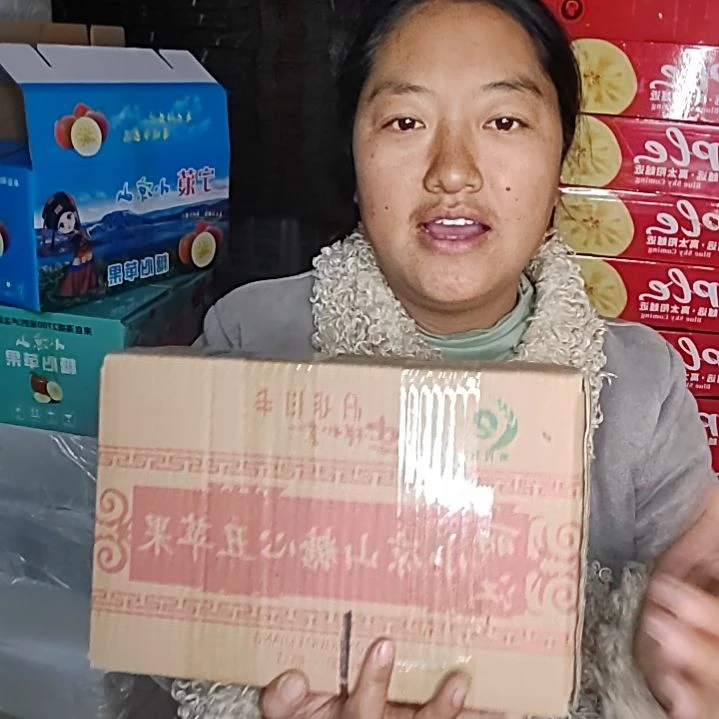 红富士苹果丽江宁蒗红富士小果5斤