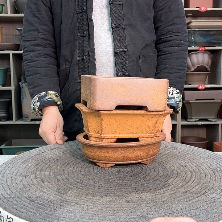 紫砂花盆紫砂的花也太美太