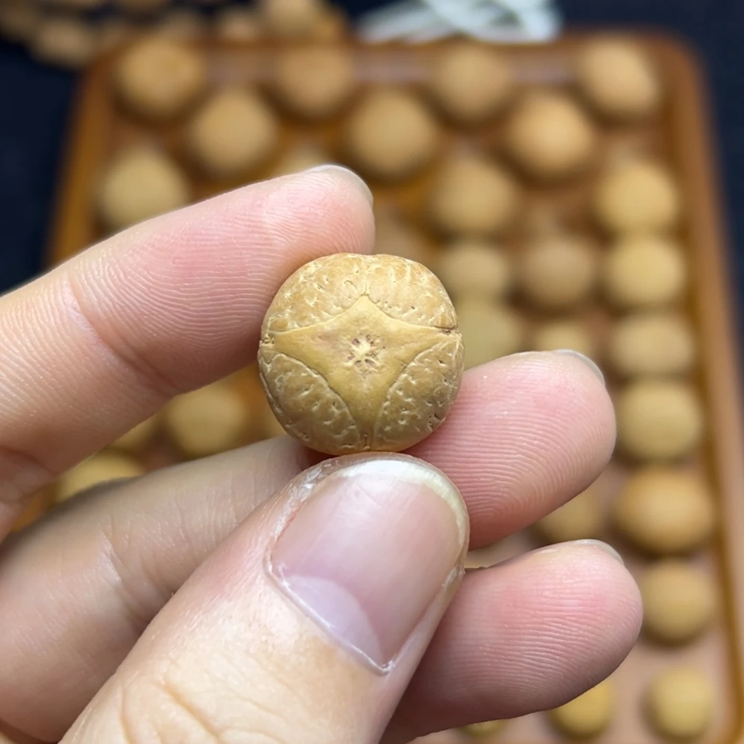 手串凤眼菩提18麒麟眼