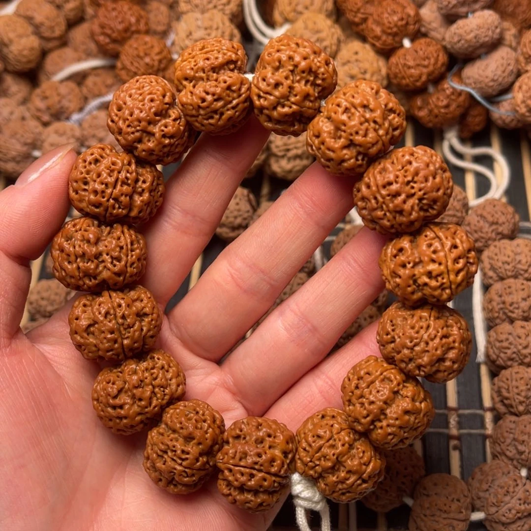 菩提尼泊尔大金刚深沟双龙梅花23