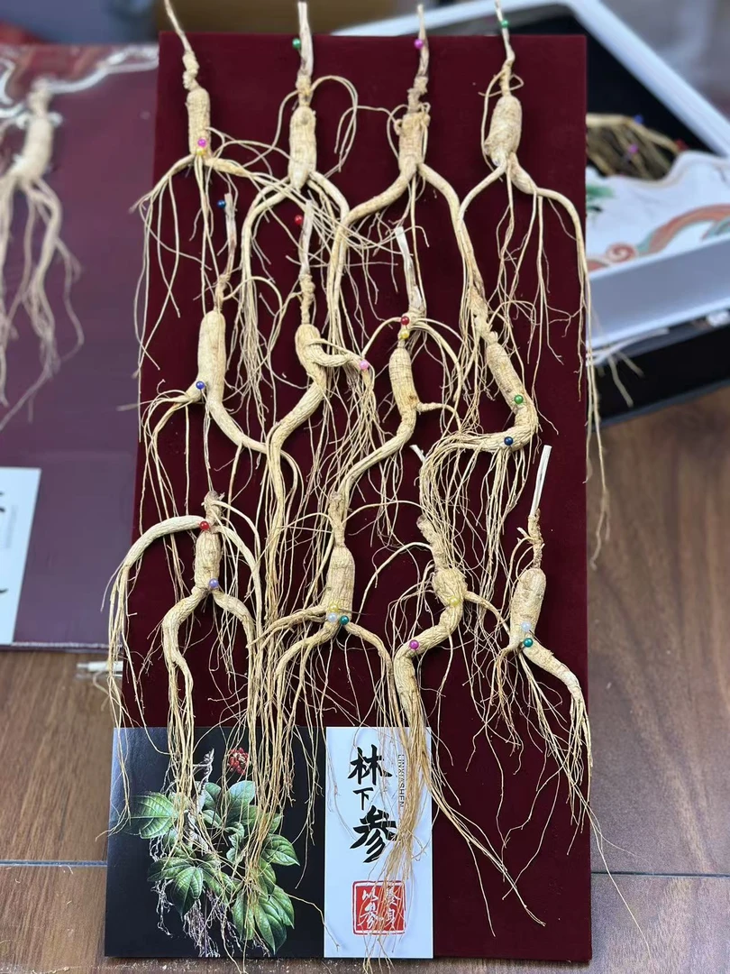 新款长白山山参礼盒正品林下参人参长白山整根泡酒滋补品节日送礼