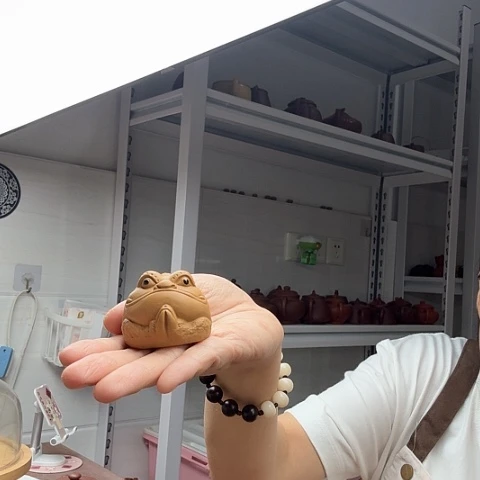 段泥金蟾茶宠茶宠火**哥