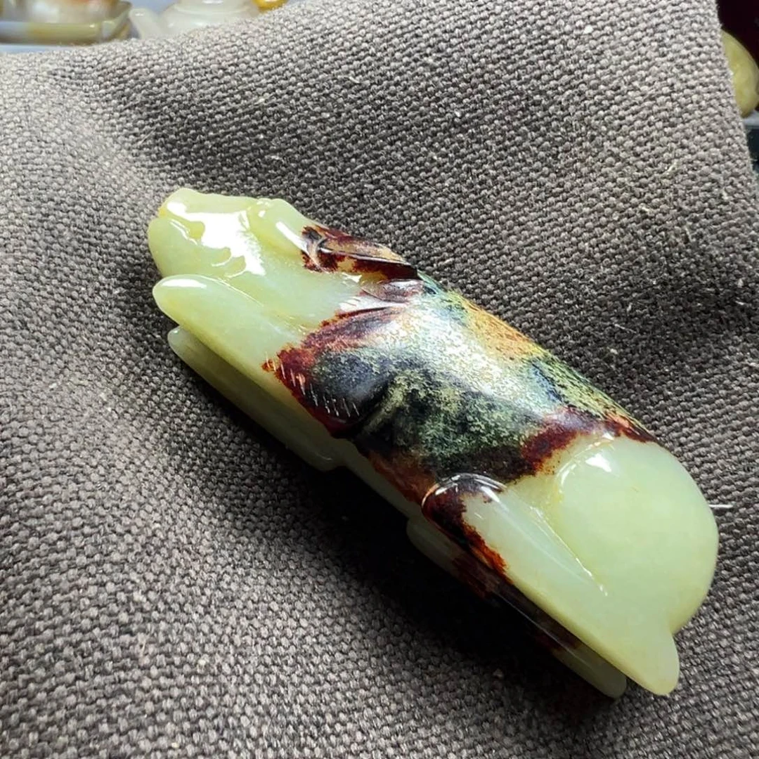 飞***哥瓷片新号开播一漏到底
