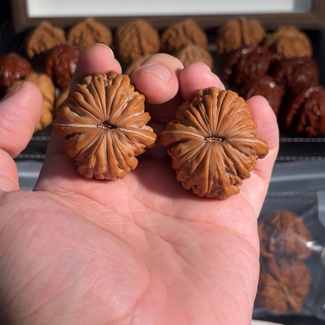 核桃手串/手链边41肚42克重41全品爆肉汉高楼