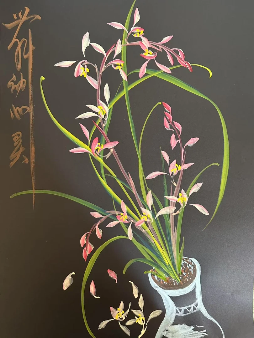 今日课稿黑卡蕙兰的构图技巧分享