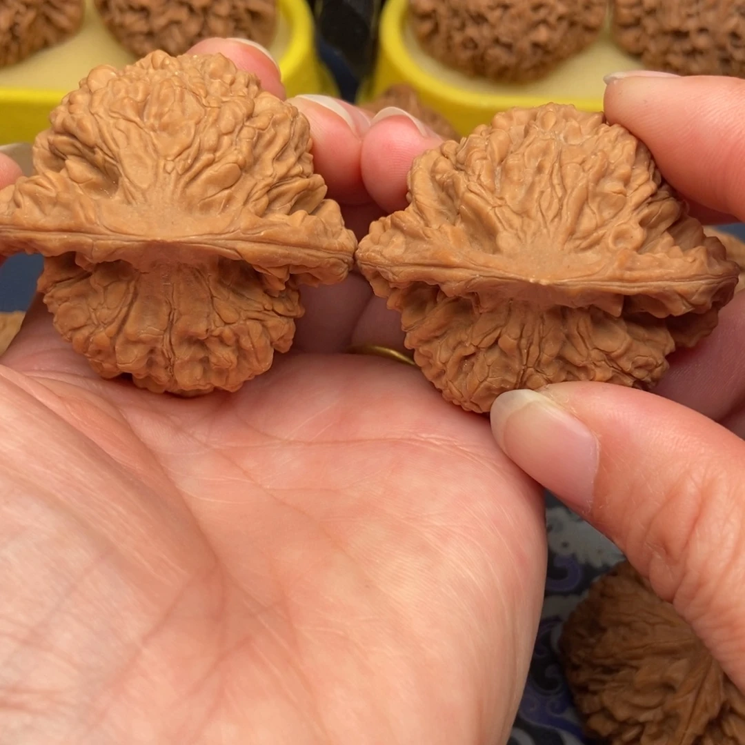 海***洋手串/手链核桃官帽